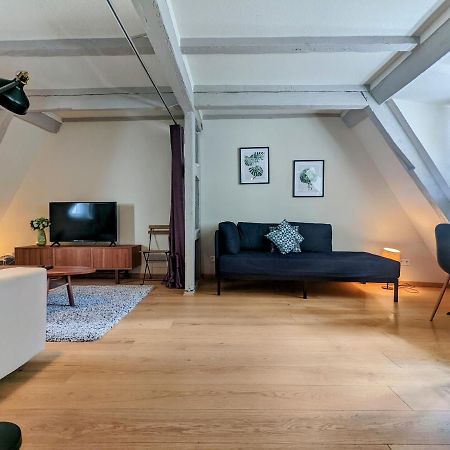 Citycosy Strasbourg - Authentique Batelier Luaran gambar