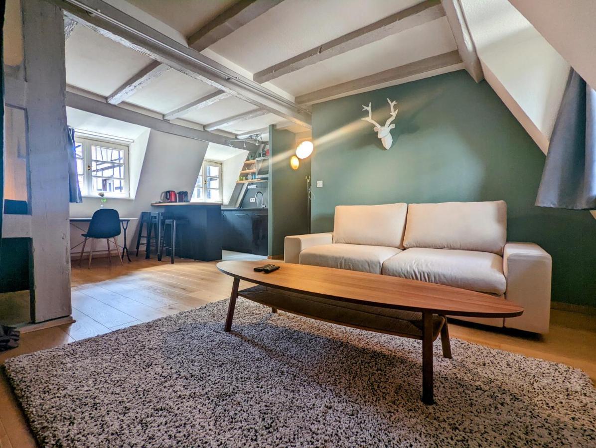 Citycosy Strasbourg - Authentique Batelier Luaran gambar