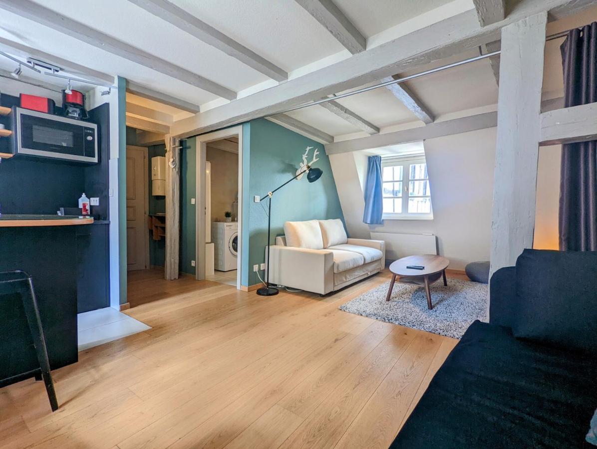 Citycosy Strasbourg - Authentique Batelier Luaran gambar
