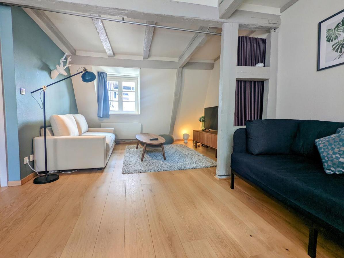 Citycosy Strasbourg - Authentique Batelier Luaran gambar