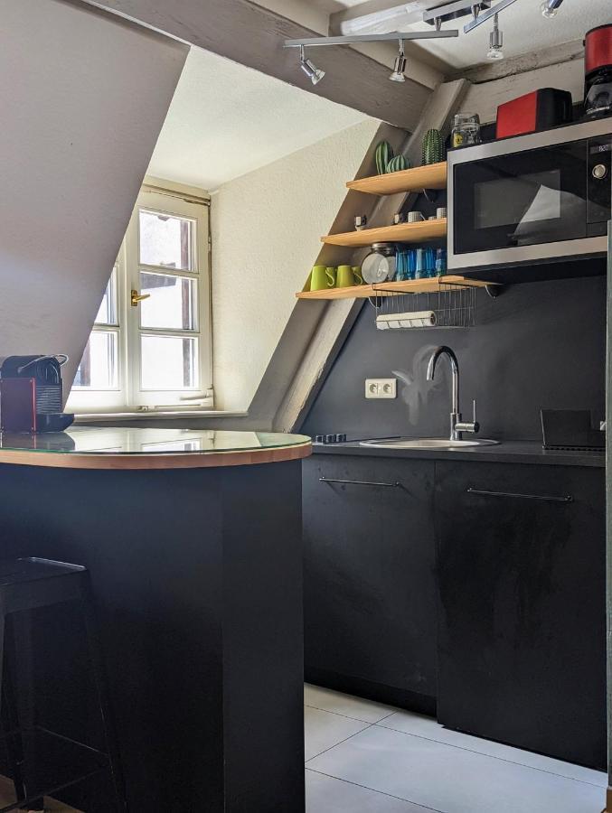 Citycosy Strasbourg - Authentique Batelier Luaran gambar