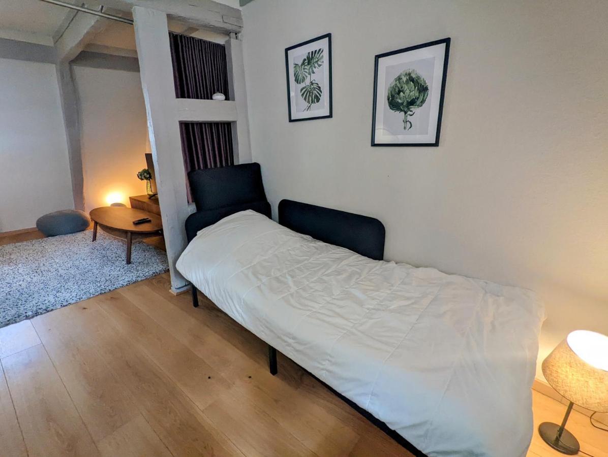 Citycosy Strasbourg - Authentique Batelier Luaran gambar