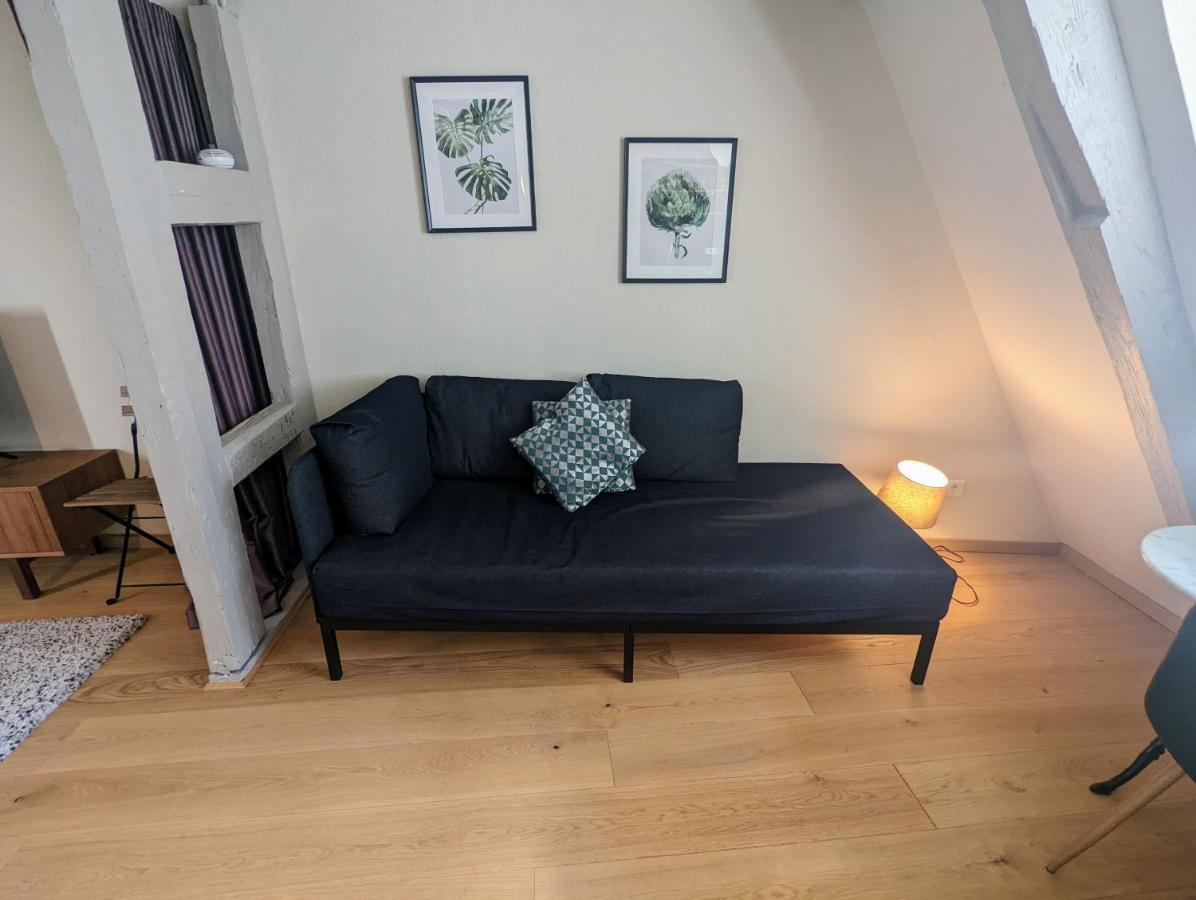 Citycosy Strasbourg - Authentique Batelier Luaran gambar