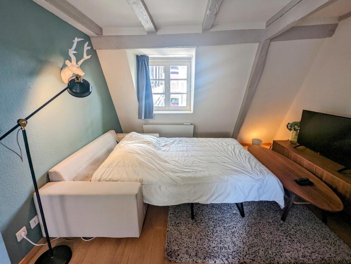 Citycosy Strasbourg - Authentique Batelier Luaran gambar